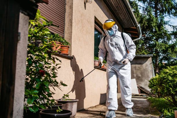 Best Affordable Pest Control Services  in Sweet Springs, MO