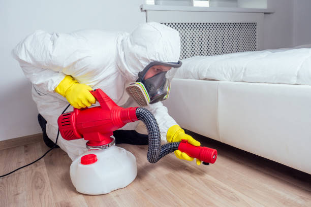 Professional Pest Control in Sweet Springs, MO
