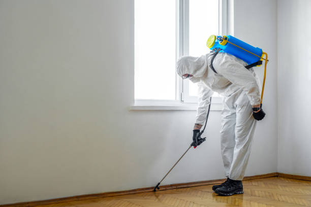 Best Insect Control  in Sweet Springs, MO