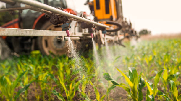 Best Pest Removal Services  in Sweet Springs, MO