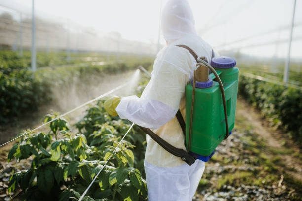 Best Best Pest Control Companies  in Sweet Springs, MO